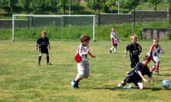 Tři školy si zahrají okresní finále v Novém Jičíně